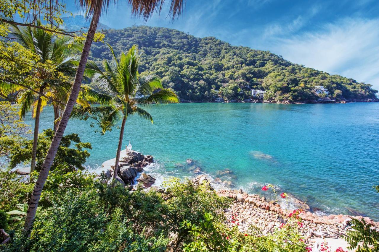 Villa Lala Boutique Hotel Adults Only Puerto Vallarta Ngoại thất bức ảnh